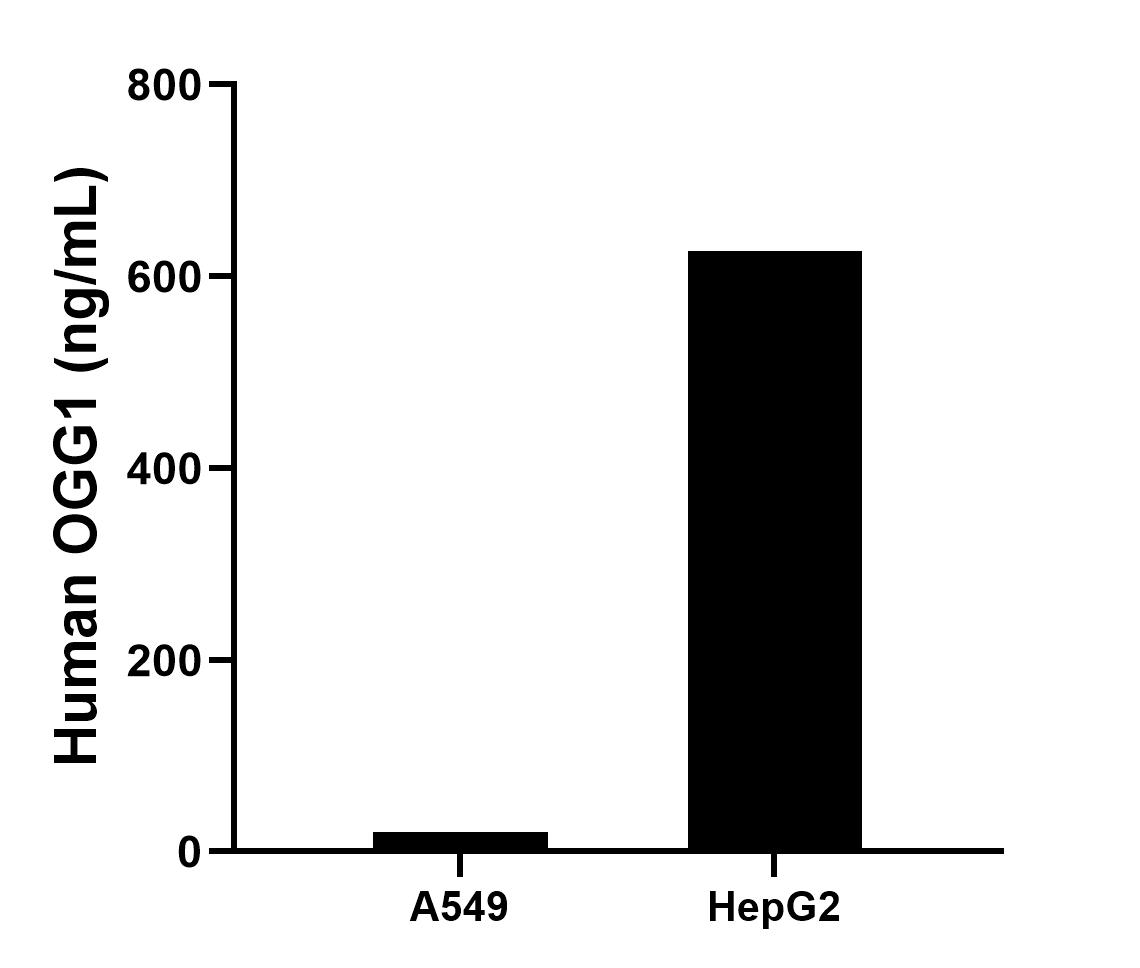 Sample test of MP00871-1